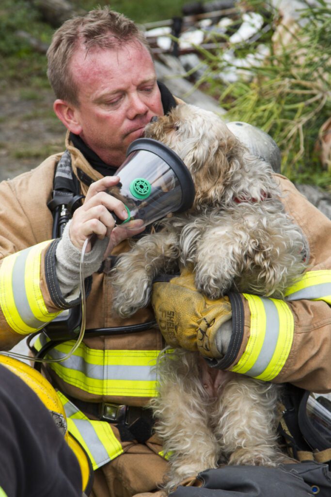 Dog says thank you to firefighter