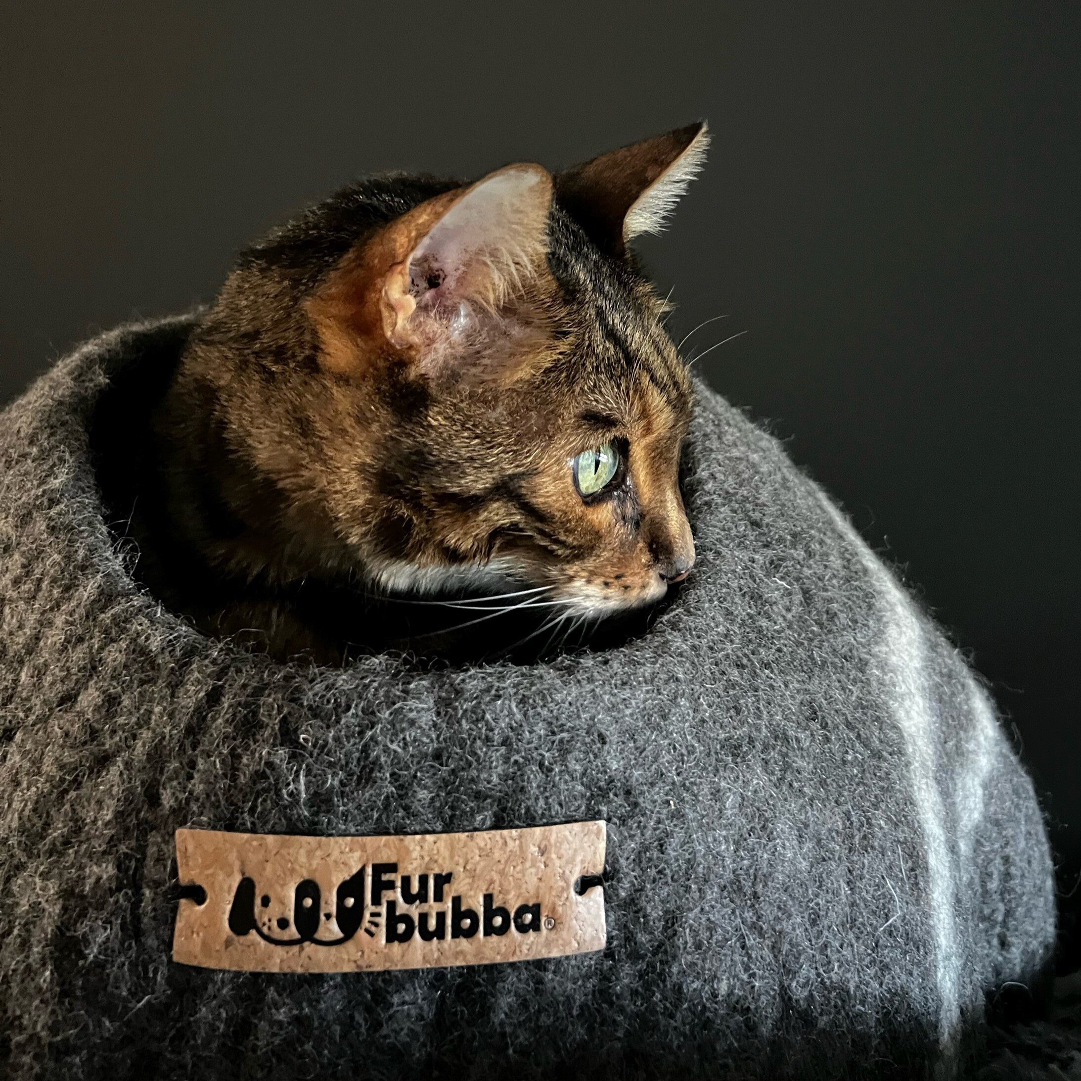 Bengal cat hiding inside Furbubba Cat Cave. With green eyes. Cat bed is grey, made of eco-friendly sustainably sourced wool.