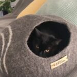 Furbubba Cat Cave 5 Star Review - black cat hiding inside