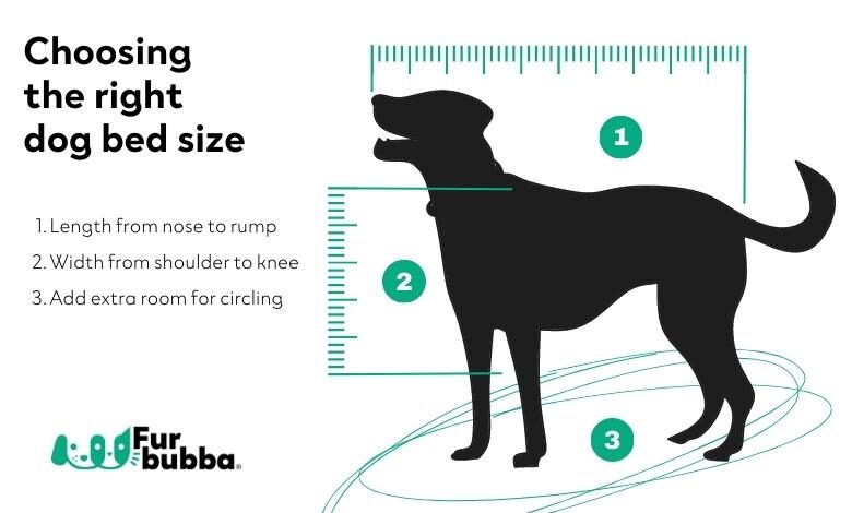Choosing the right dog bed size. How to measure your dog for a dog bed. What size dog bed do I need?