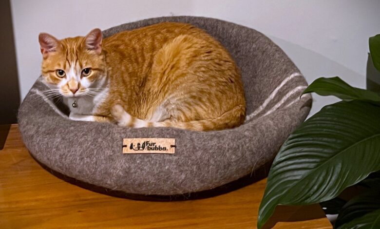Furbubba Felt Cat Cave folded flat for summer with ginger cat sitting on top